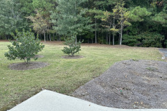 Lanier-Parking-Lot-2