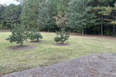 Lanier-Parking-Lot-3
