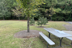 Lanier-Parking-Lot-5